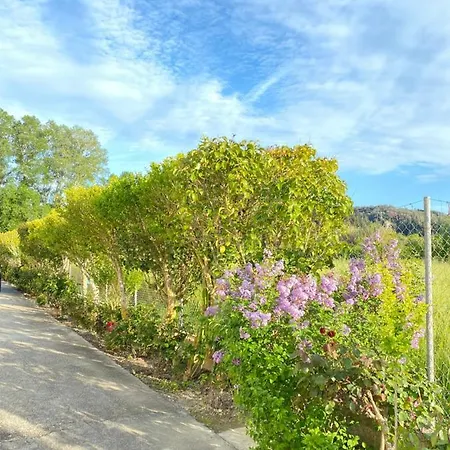 My Corfu Luxury With Private Pool Διαμέρισμα *
